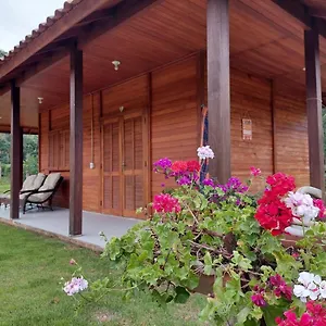 Caminhos Da Serra Do Tabuleiro - Araucária Alojamento de Turismo Selvagem